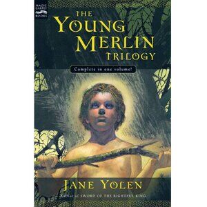 FREE*❤️Young Merlin Trilogy: Passager, Hobby & Merlin paperback book Jane Yolen